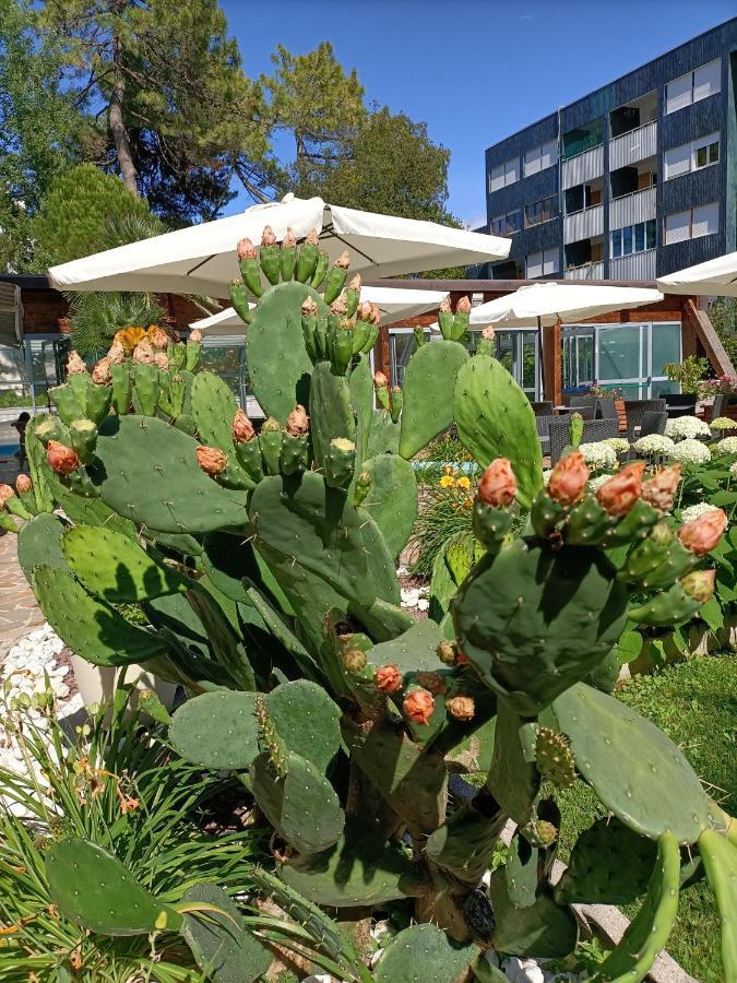 Hotel Ai Pini Grado Eksteriør billede
